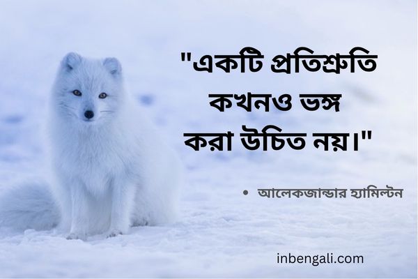 Hamilton Quotes in Bengali