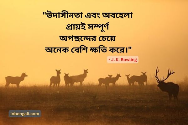 J K Rowling Quotes in Bangla